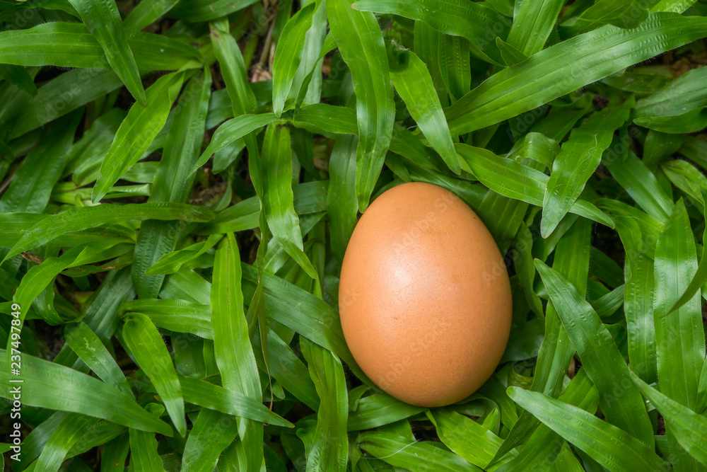 Eggs are high in protein for breakfast, easy to be beneficial to the body as Asian food. Eggs are high in protein for breakfast, easy to be beneficial to the body as Asian food.