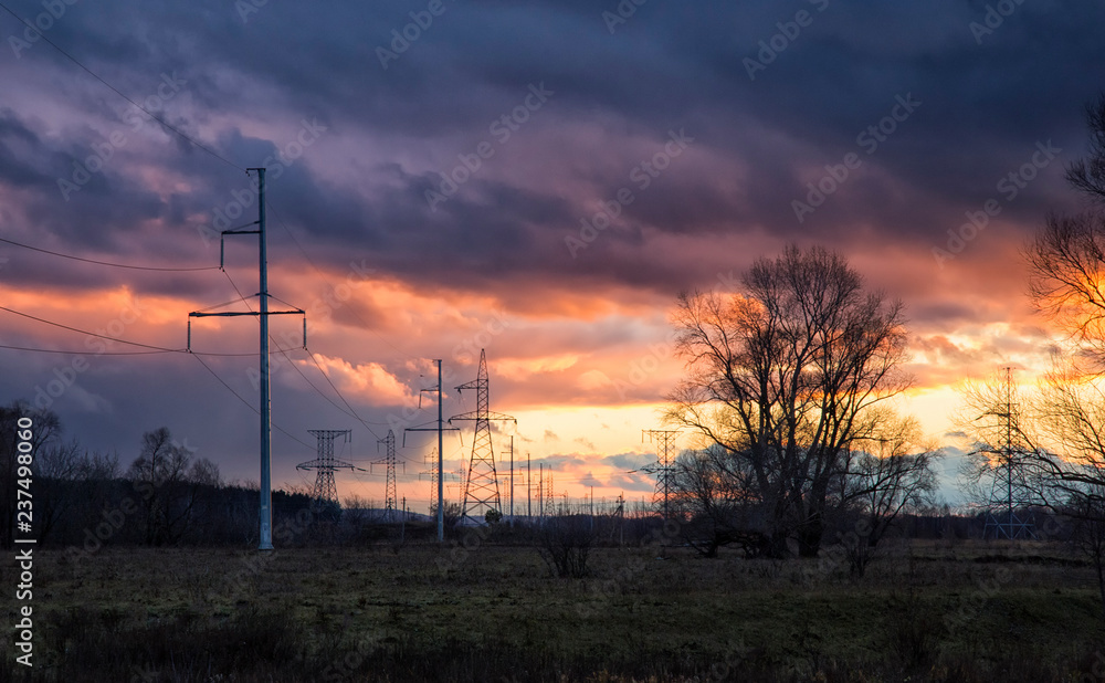 Naklejka premium Autumn tree at sunset