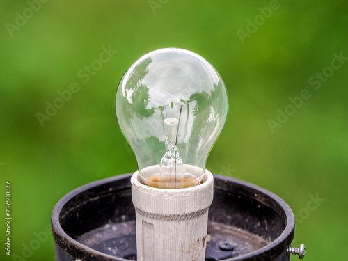 Closeup light bulb with green nature abstract blur background