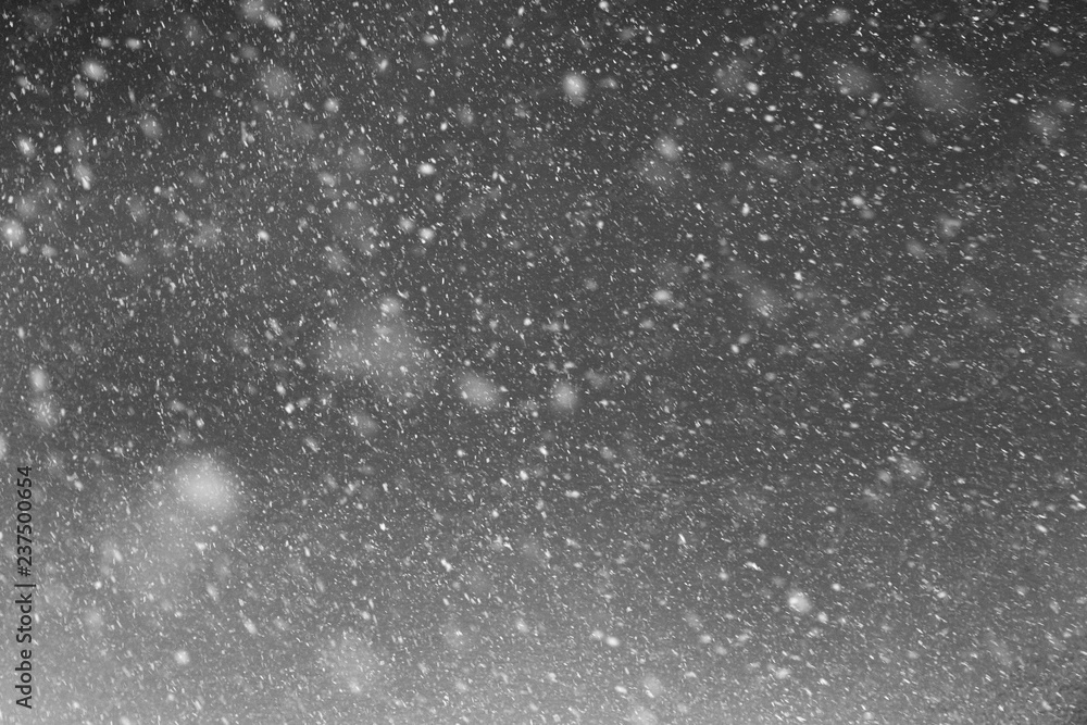 Obraz premium Falling real snowflakes, heavy snow
