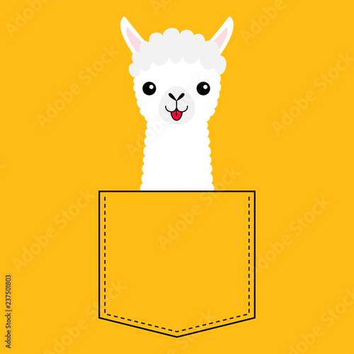 Llama alpaca face head in the pocket. Cute cartoon animals. Kawaii character. Dash line. White and black color. T-shirt design. Baby yellow background. Isolated. Flat design.