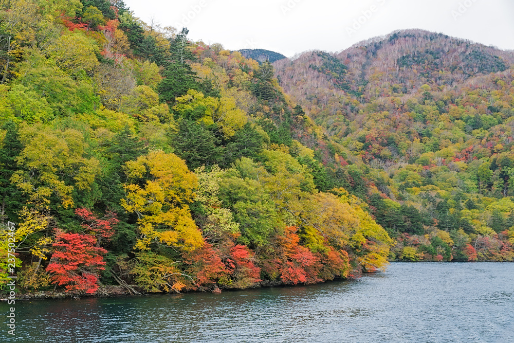 Cruise tour along Chuzenji Lake in autumn, Nikko, Japan