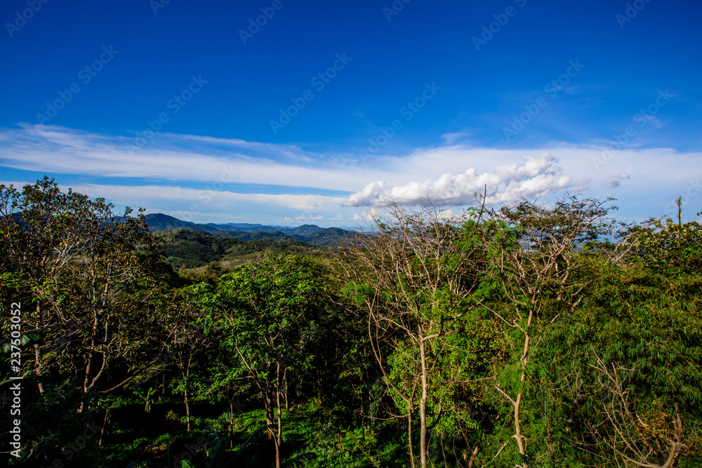 Natural background, panoramic view, panoramic nature (mountains, trees, sea, sky) is a beautiful sight to see in a group trip or a solo trip. Natural background, panoramic view, panoramic nature (mountains, trees, sea, sky) is a beautiful sight to see in a group trip or a solo trip.