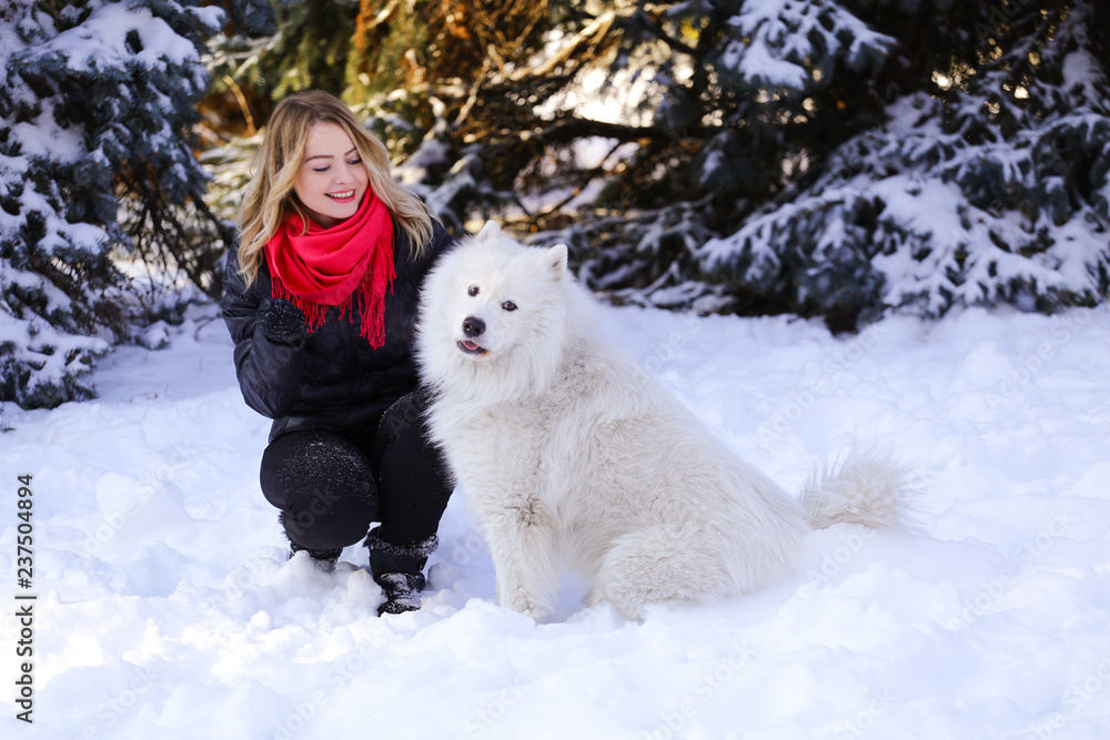 Beautiful young girl with a Samoyed dog in the winter forest on the snow