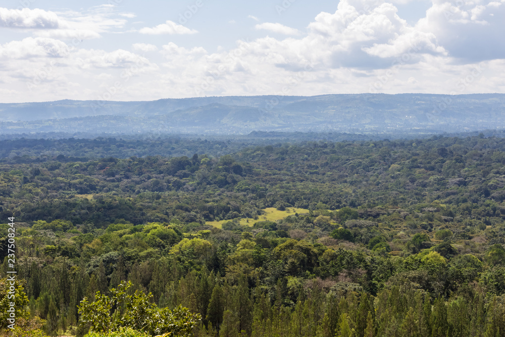 Kakamega forest views. Kenya, Africa (Rev.2)