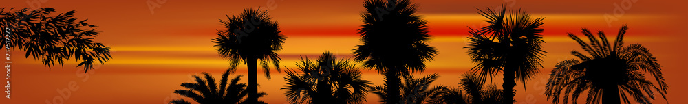 strip with palms at red sunset
