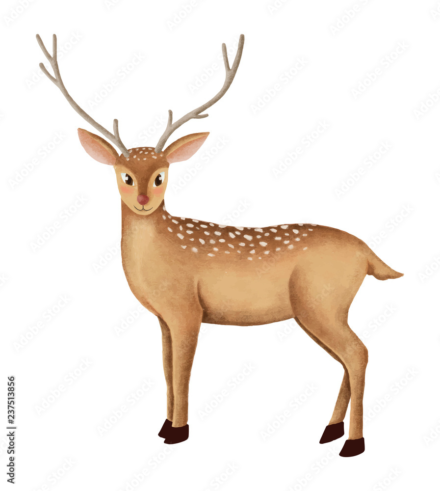 Hand-drawn cute fallow deer Hand-drawn cute fallow deer