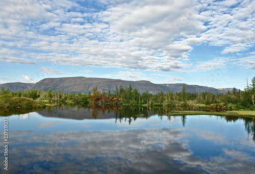 Wildlife of Russian Far North for 69 parallel photo