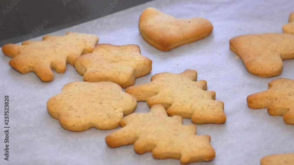 Preparing homemade cookies. Cookies are cooled on parchment paper. Preparing homemade cookies. Cookies are cooled on parchment paper.