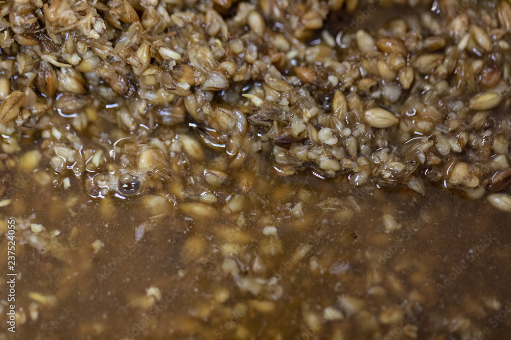 Materials for Beer fermentation, Beer raw materials and Production of Beer at the home. Materials for Beer fermentation, Beer raw materials and Production of Beer at the home.