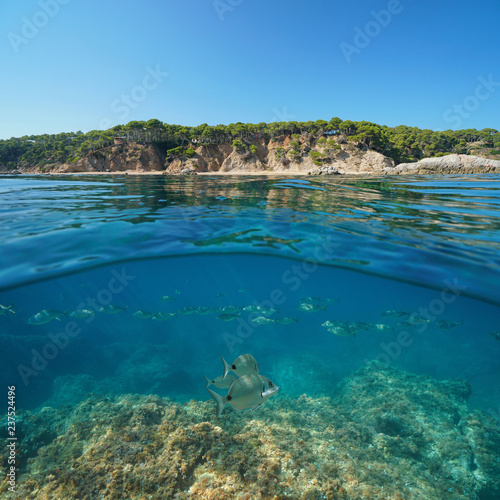 Coastline near Palamos in Spain and a school of fish with rock underwater, split view half above and below water surface, Cala Bona, Costa Brava, Mediterranean sea