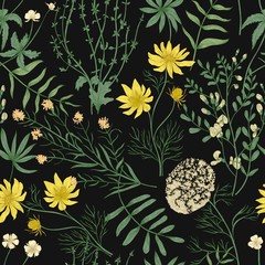 Gardinen Mustersammlungen Botanisches nahtloses Muster mit schönen wild blühenden Blumen auf schwarzem Hintergrund. Hintergrund mit Wiesenwildblumen und Kräutern. Natürliche bunte handgezeichnete Vektorillustration im Vintage-Stil.  © Good Studio