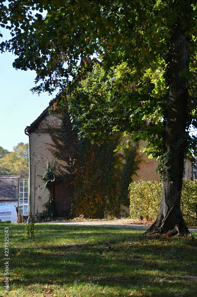 Schloss Rheinsberg, Brandenburg Schloss Rheinsberg, Brandenburg