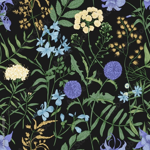 Natural seamless pattern with blooming wild flowers on black background. Flor...