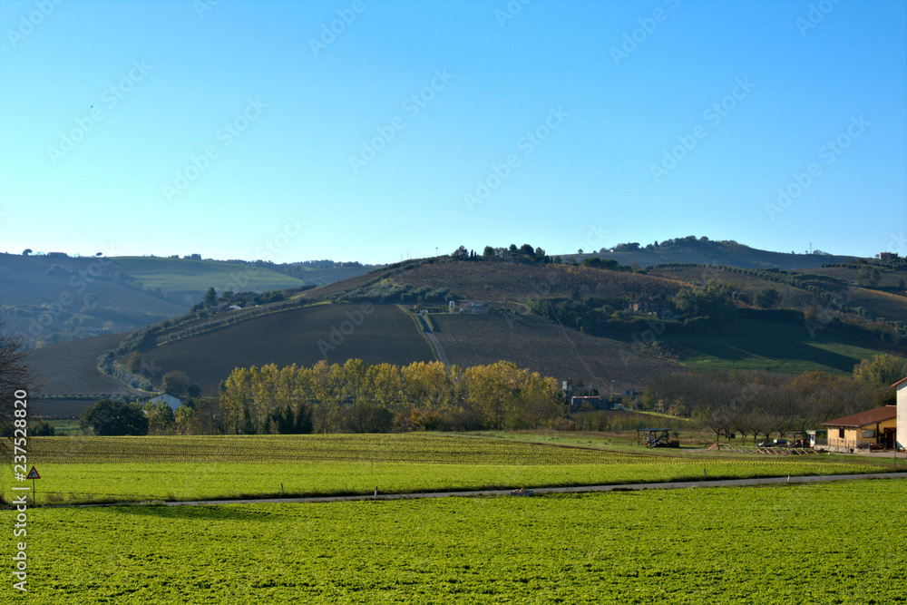 green field,landscape, sky,nature, meadow, blue,countryside, hill,agriculture, tree, panorama, trees, fields,farm, horizon,view,countryside, hill,autumn 