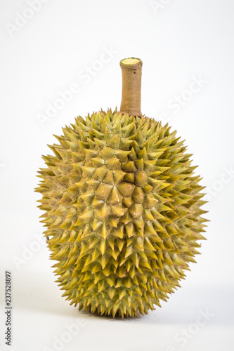 Lhong Lublae Durian on white background