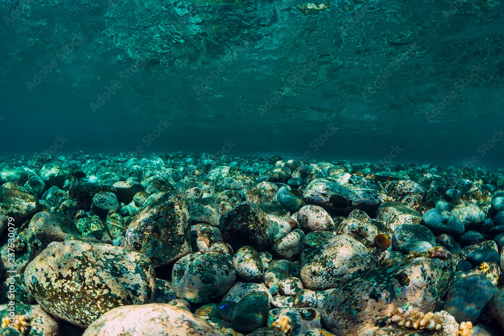 Fototapeta premium Underwater scene with stones and clear water. Ocean texture