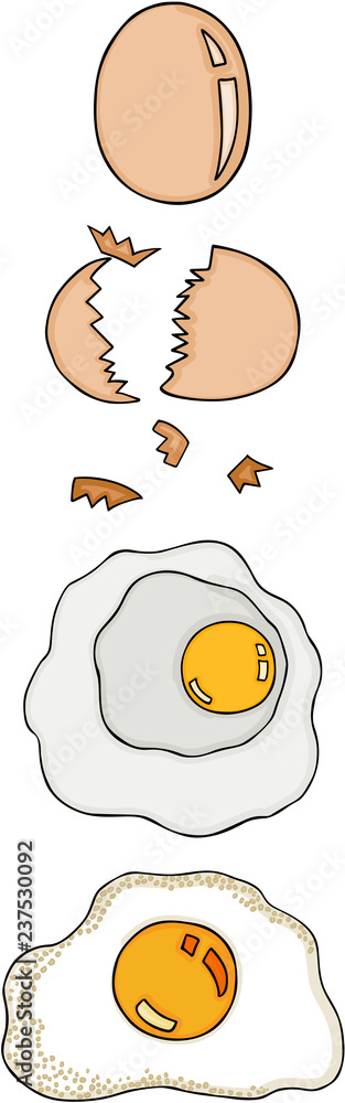 Chicken eggs set
Chicken eggs set