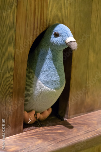 The plush pigeon looking out of the dovecote. photo