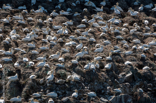 Reportage : Réserve naturelle en Bretagne © VILLAREAL L.