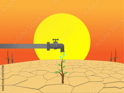 Open water from the faucet to make the tree grow and reclaim the soil.The lack of fertile soil causes the trees to die and the soil is drought