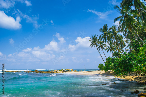 Tropical beach background with palm trees