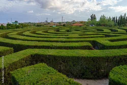 Green bushes maze view from above for garden