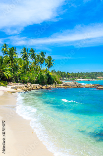 Tropical beach background with palm trees