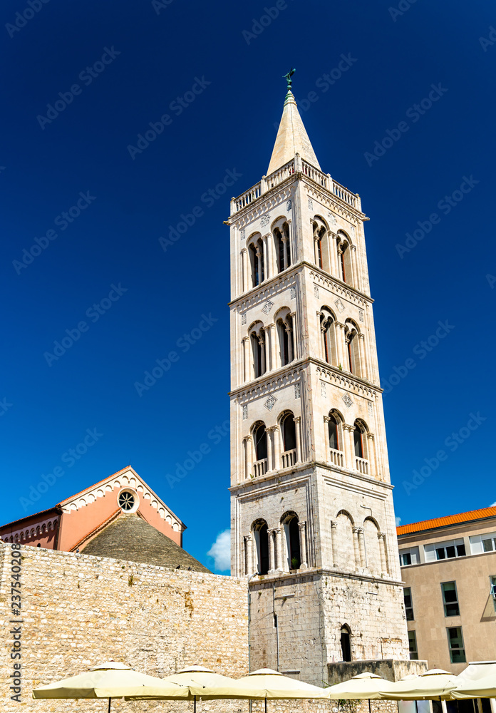 Bell tower of St. Anastasia Cathedral in Zadar, Croatia