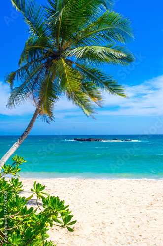 Tropical beach on a Sri Lanka s coast  coconut palms  white sand and the azure ocean. Beautiful tropical landscape