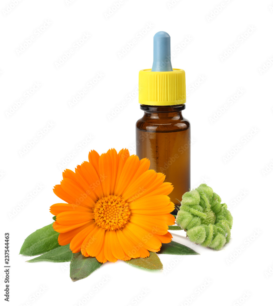 bottle with marigold oil with marigold flowers isolated on white background. calendula flower. bottle with marigold oil with marigold flowers isolated on white background. calendula flower.