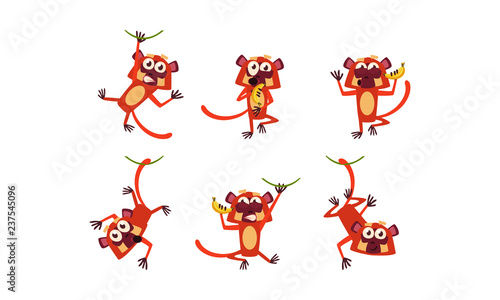 Flat vector set of funny brown lemur in different actions. Wild monkey with various emotions