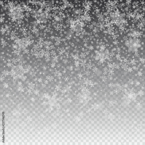 Vector snowfall, snowflakes of various shapes. Many white cold flaky elements on transparent background. White falling fly in the air.