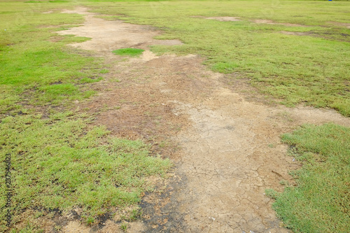 grass lawn in ground