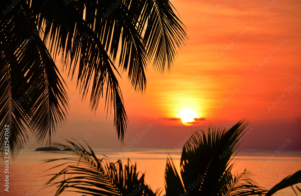 Stunning sunrise with palm tree silhouette