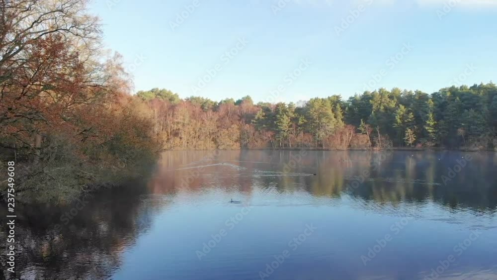 Beautiful Lake Surrounded by Trees With Tranquil Waters Beautiful Lake Surrounded by Trees With Tranquil Waters