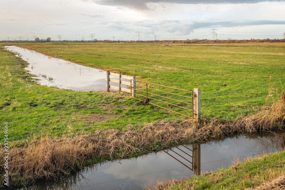 Agricultural fence reflected in the mirror smooth water surface of a Dutch polder ditch