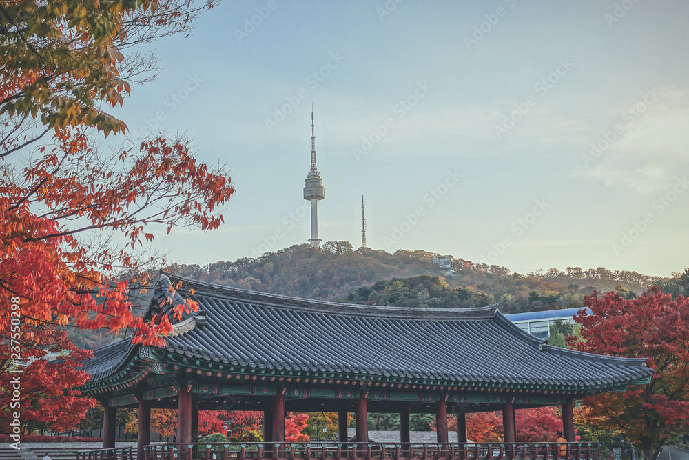 Fototapeta premium Autumn Namsangol Hanok Village.