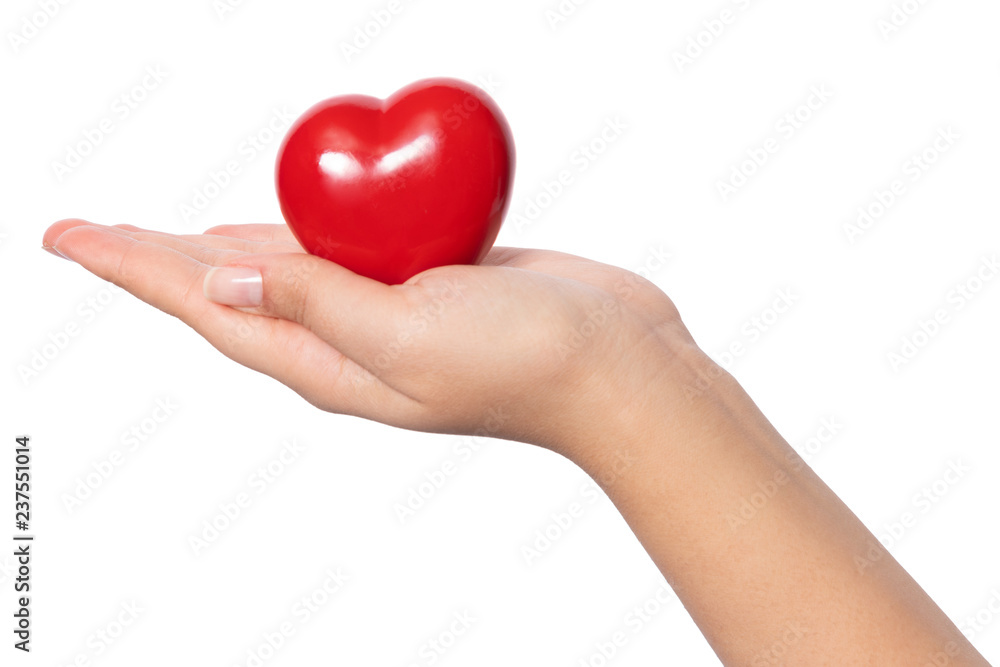 Healthcare concept, female holding heart with love in her hands