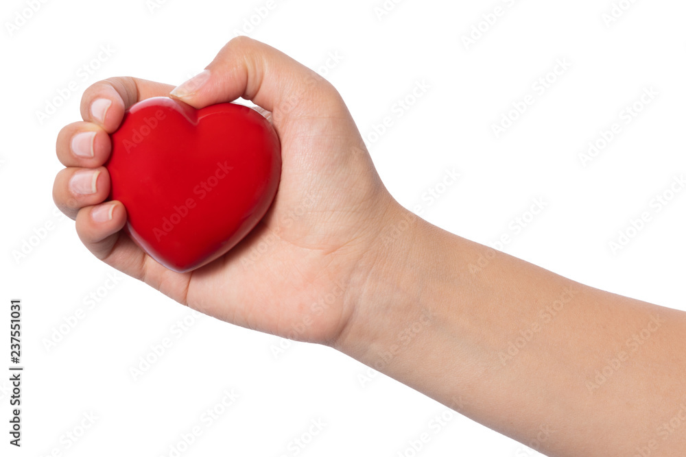 Healthcare concept, female holding heart with love in her hands