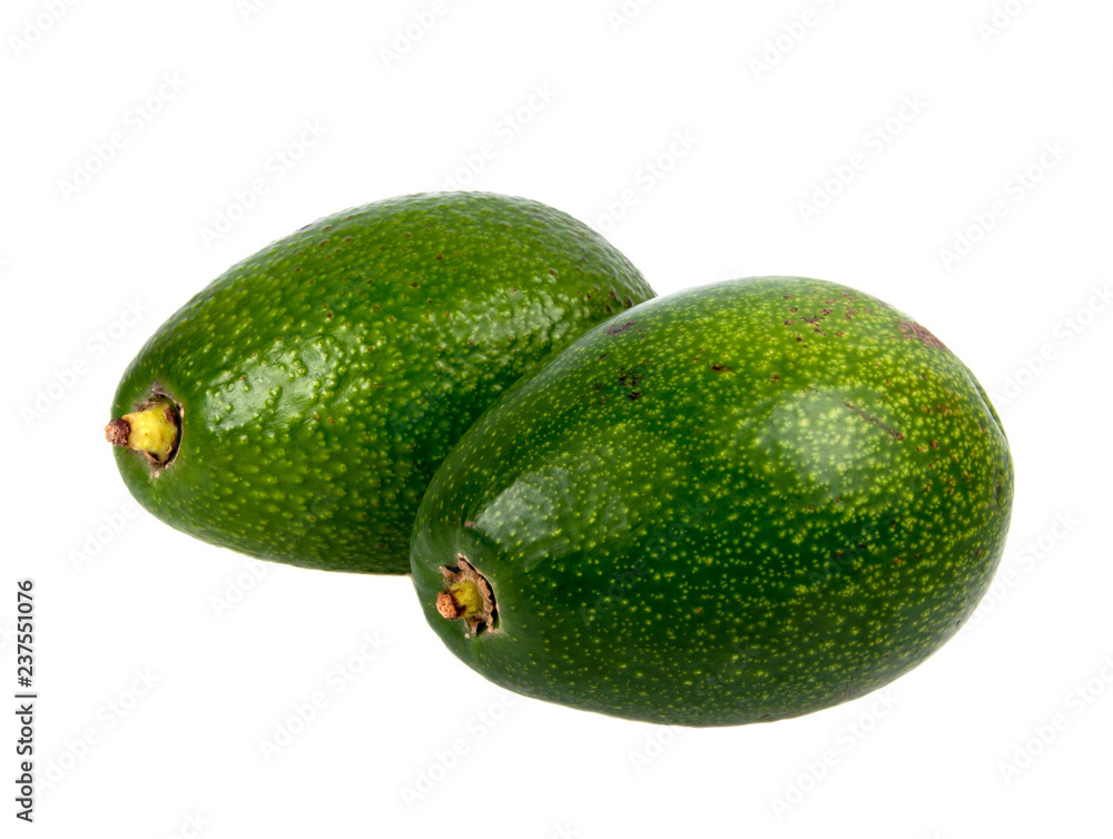 Fresh organic avocado isolated on the white. Tropical exotic food. Fresh organic avocado isolated on the white. Tropical exotic food.