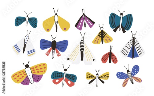 Bundle of bright colored cartoon moths isolated on white background. Set of exotic nocturnal flying insects with colorful wings, butterflies. Natural vector illustration in simple doodle style.