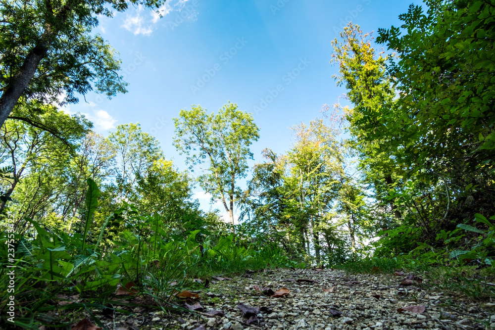 Obraz premium Romantic landscape Koenigsbronn