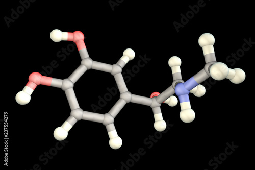 Epinephrine molecule, 3D illustration. A hormone produced by adrenal gland, it has effect on blood pressure, lypolysis, glycogenolysis