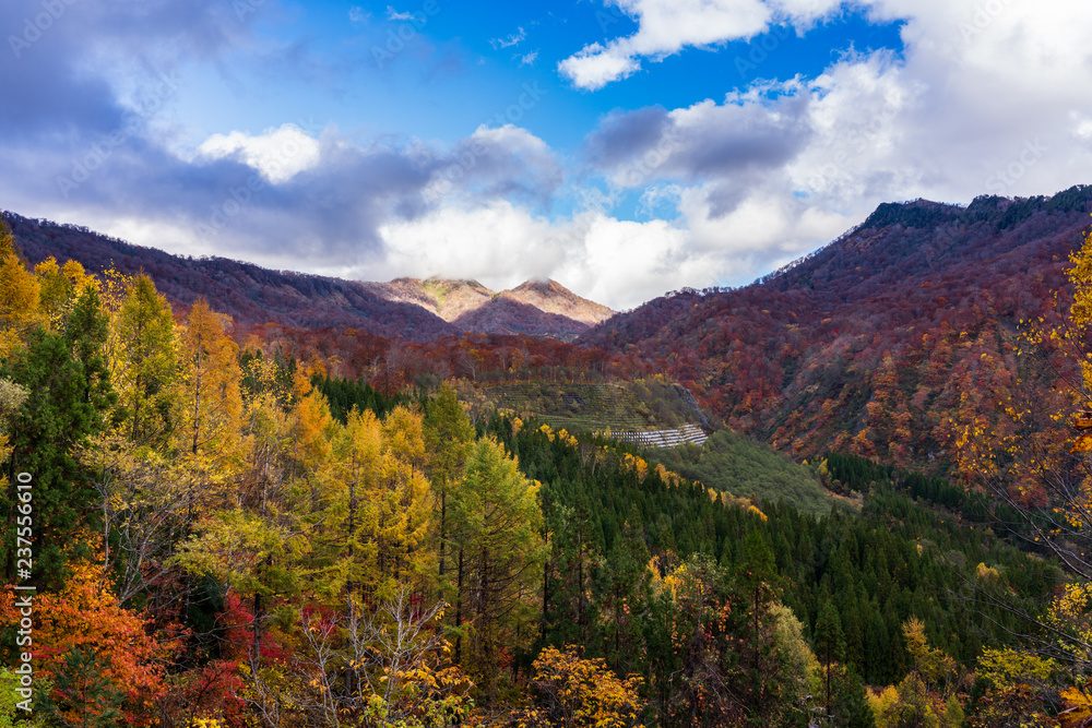 秋色に染まり始めた山々
