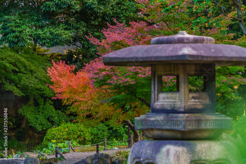 日本の秋 東京都北区 旧古川庭園の紅葉風景 photo