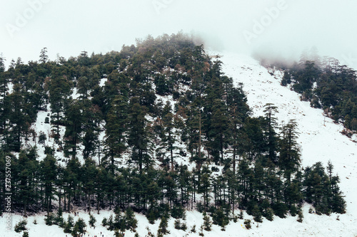 A cold beautiful snowy day in michlifen in winter