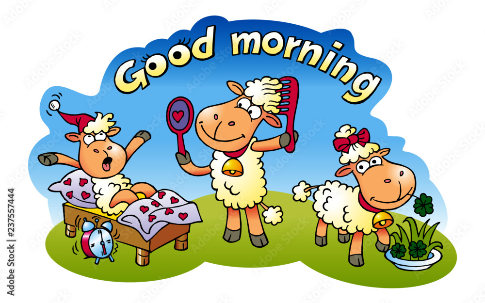 sheep good morning