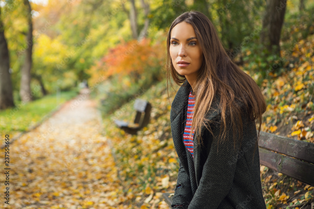 Portrait of beautiful young girl in picturesque autumn park. Portrait of beautiful young girl in picturesque autumn park.