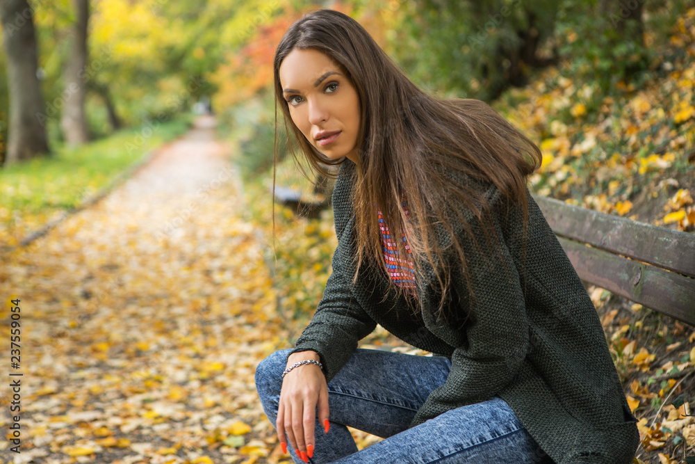 Portrait of beautiful young girl in picturesque autumn park. Portrait of beautiful young girl in picturesque autumn park.